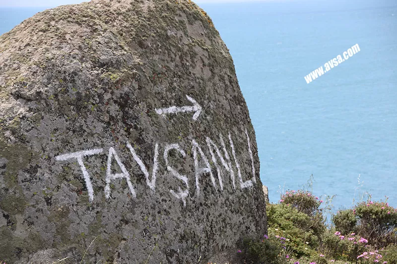 Avşa Tavşanlı Plajı